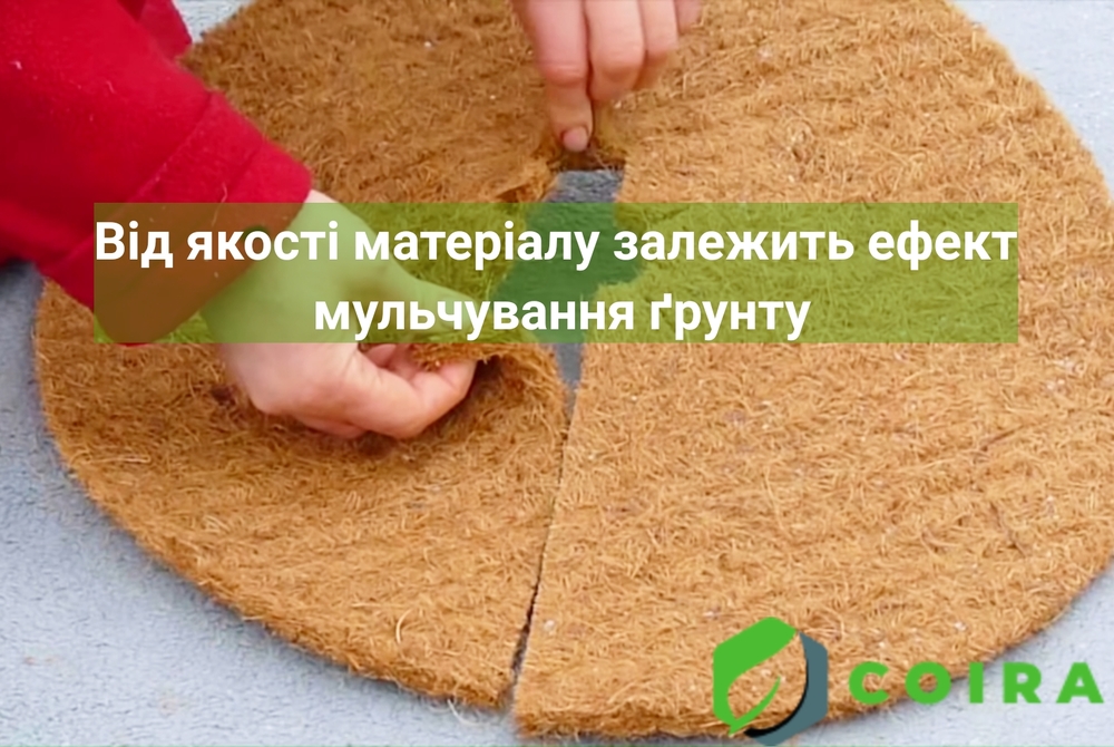 Пристовбурний круг блог фото 2