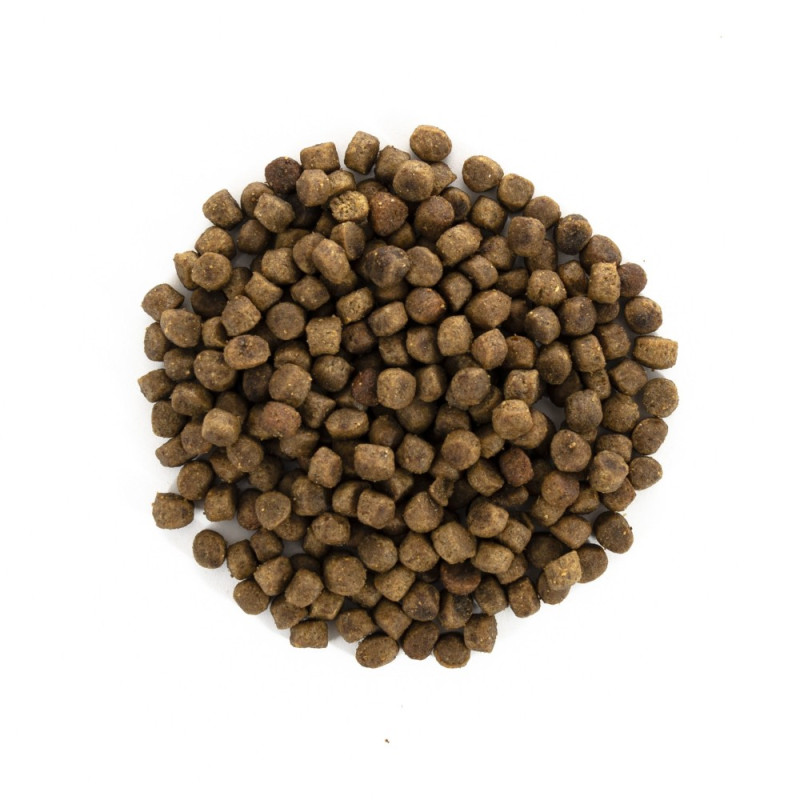 Сухий корм 2 кг для Кошенят для Здорового Зростання та Розвитку з Індичкою Brit Care 2