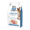 Сухий корм 2 кг для Кішок Великих порід з Качкою і Куркою Brit Care 1