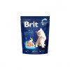 Сухий корм 300 г для Кошенят з Куркою від 1-12 місяців Kitten Brit Premium by Nature 1