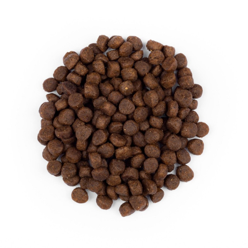 Сухий корм 800 г для Кошенят з Куркою від 1-12 місяців Kitten Brit Premium by Nature 2