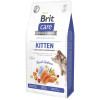 Сухий корм 7 кг для Кошенят для Міцного Імунітету з Лососем Brit Care 1