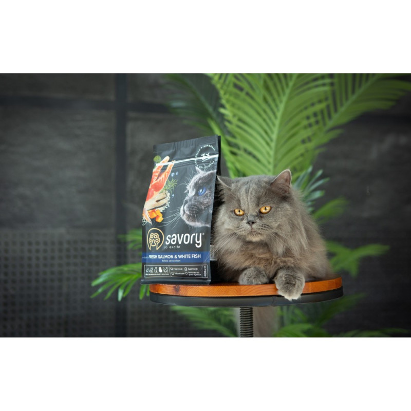 Сухий корм 400 г для Дорослих Котів зі Свіжим Лососем і Білою рибою Savory 4