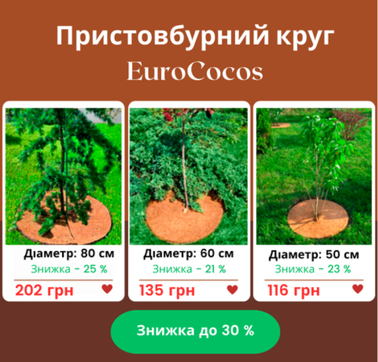 Кокосові круги