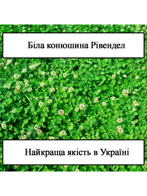 Конюшина біла (Рівендел) Green Home - 2
