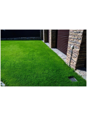 Насіння Ліліпут 1 кг газонної трави Низькорослої Green Home - 3