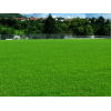 Насіння газонної трави Спортивна Green Home 5
