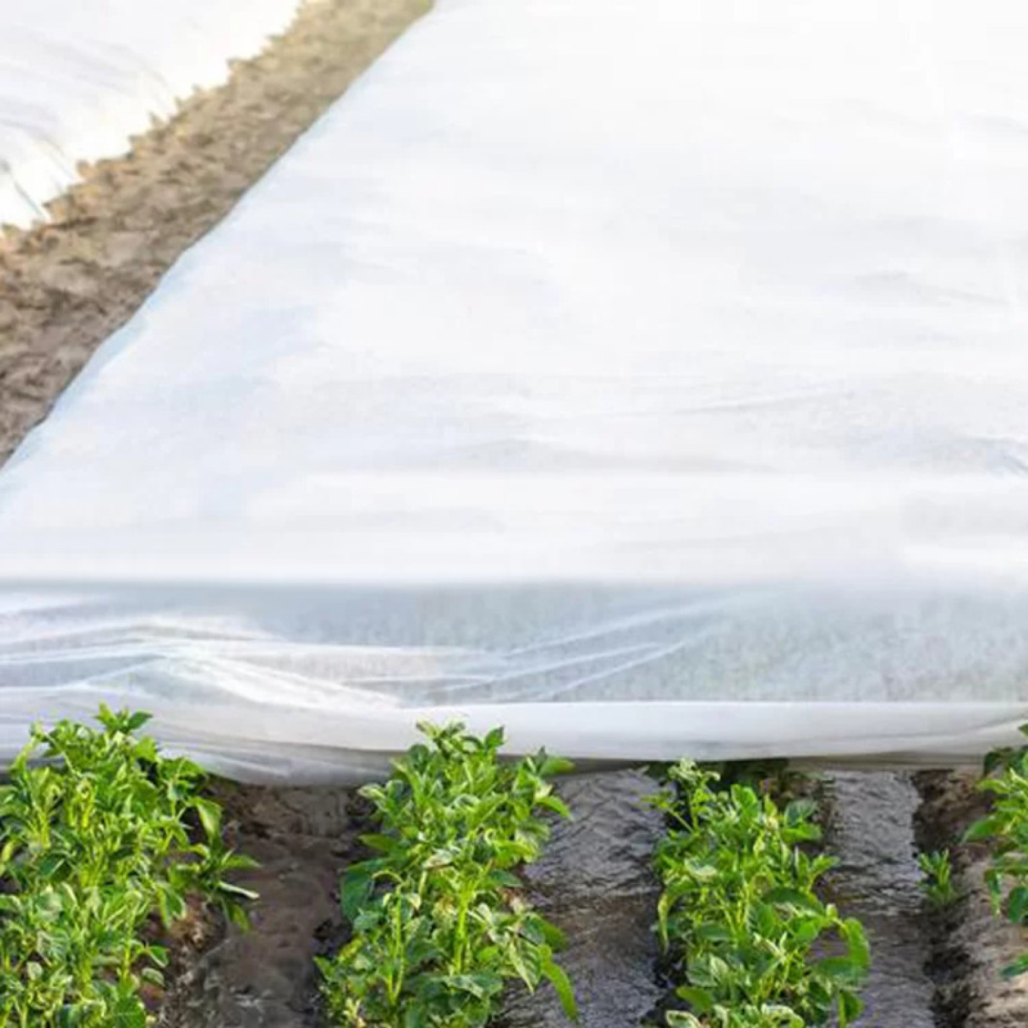 Агроволокно 1,6х10м 42 г/м² Біле Agreen 2