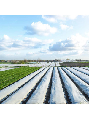 Агроволокно 3,2х10м 50 г/м² Біле Agreen - 2