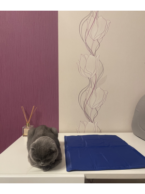 Килимок 40x30 см Охолоджуючий Блакитний для Собак і Кішок Trixie - 3
