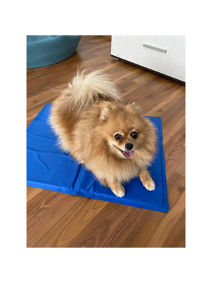 Килимок 50x40 см Охолоджуючий Блакитний для Собак і Кішок Trixie - 2