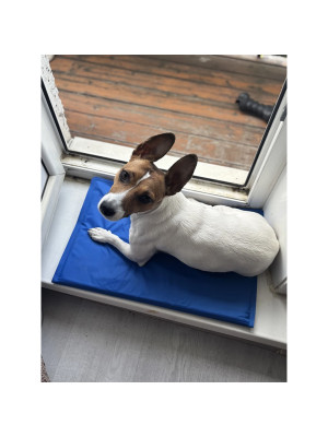 Килимок 50x40 см Охолоджуючий Блакитний для Собак і Кішок Trixie - 3