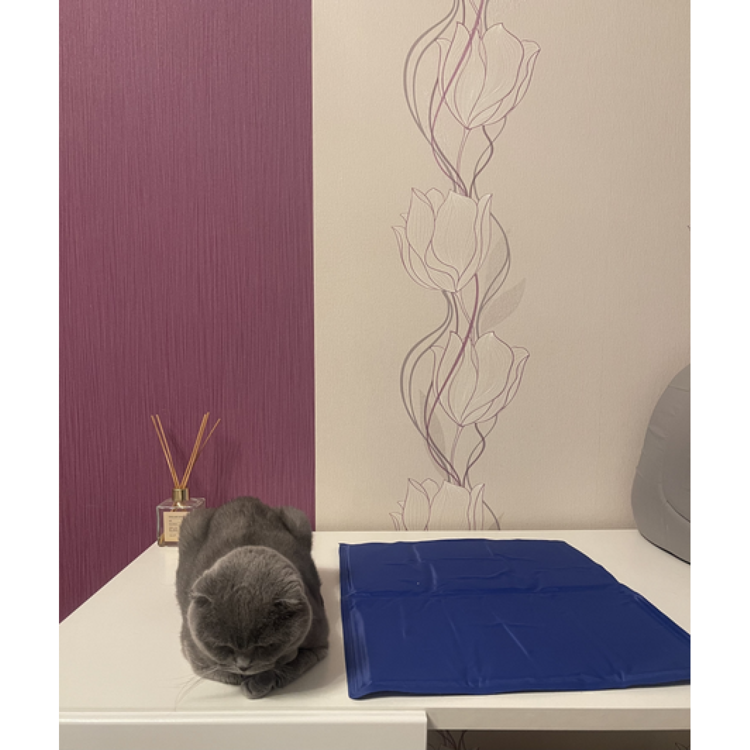 Килимок 50x40 см Охолоджуючий Блакитний для Собак і Кішок Trixie 18