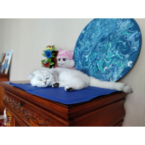 Килимок 50x40 см Охолоджуючий Блакитний для Собак і Кішок Trixie