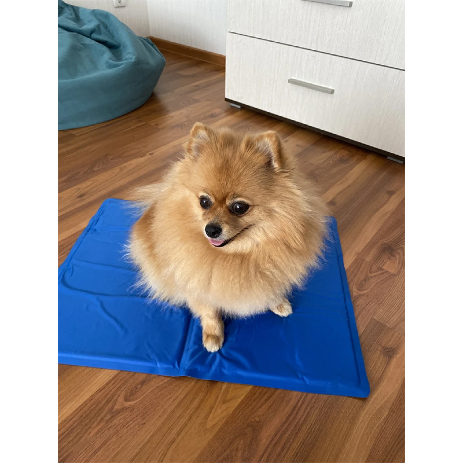 Килимок 50x40 см Охолоджуючий Блакитний для Собак і Кішок Trixie 10