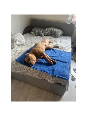 Коврик 65x50 см Охлаждающий Голубой для Собак и Кошек Trixie - 3