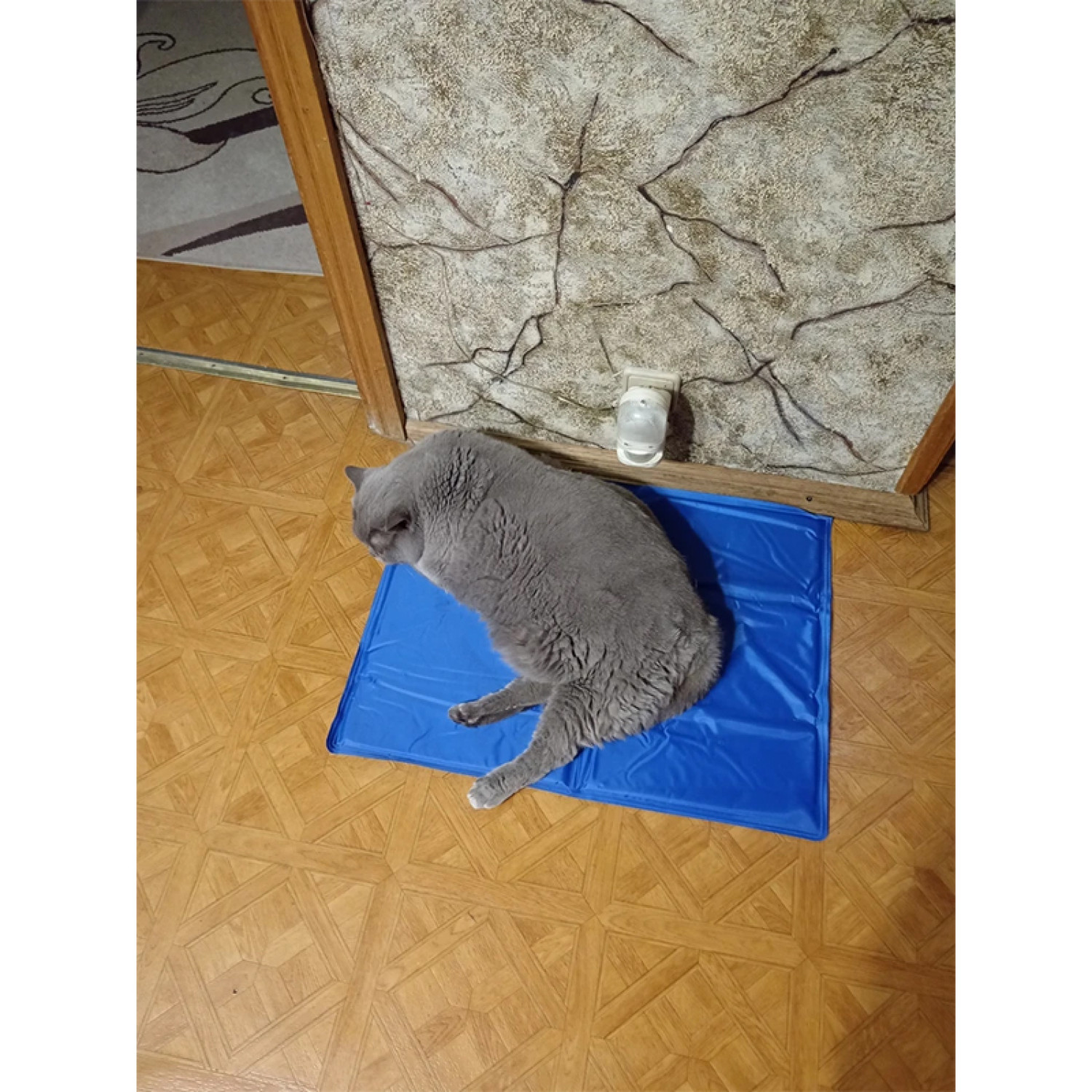 Килимок 65x50 см Охолоджуючий Блакитний для Собак і Кішок Trixie 43