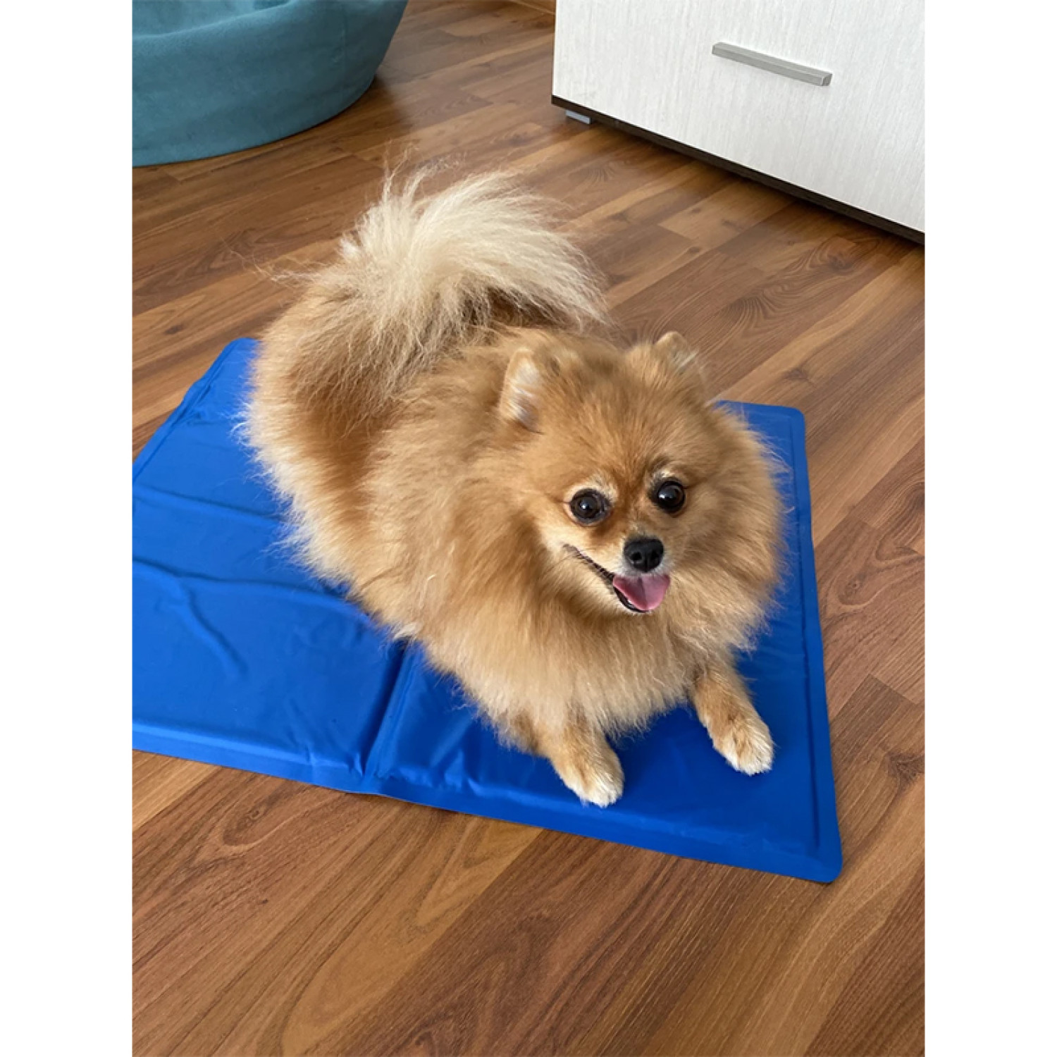 Килимок 65x50 см Охолоджуючий Блакитний для Собак і Кішок Trixie 42