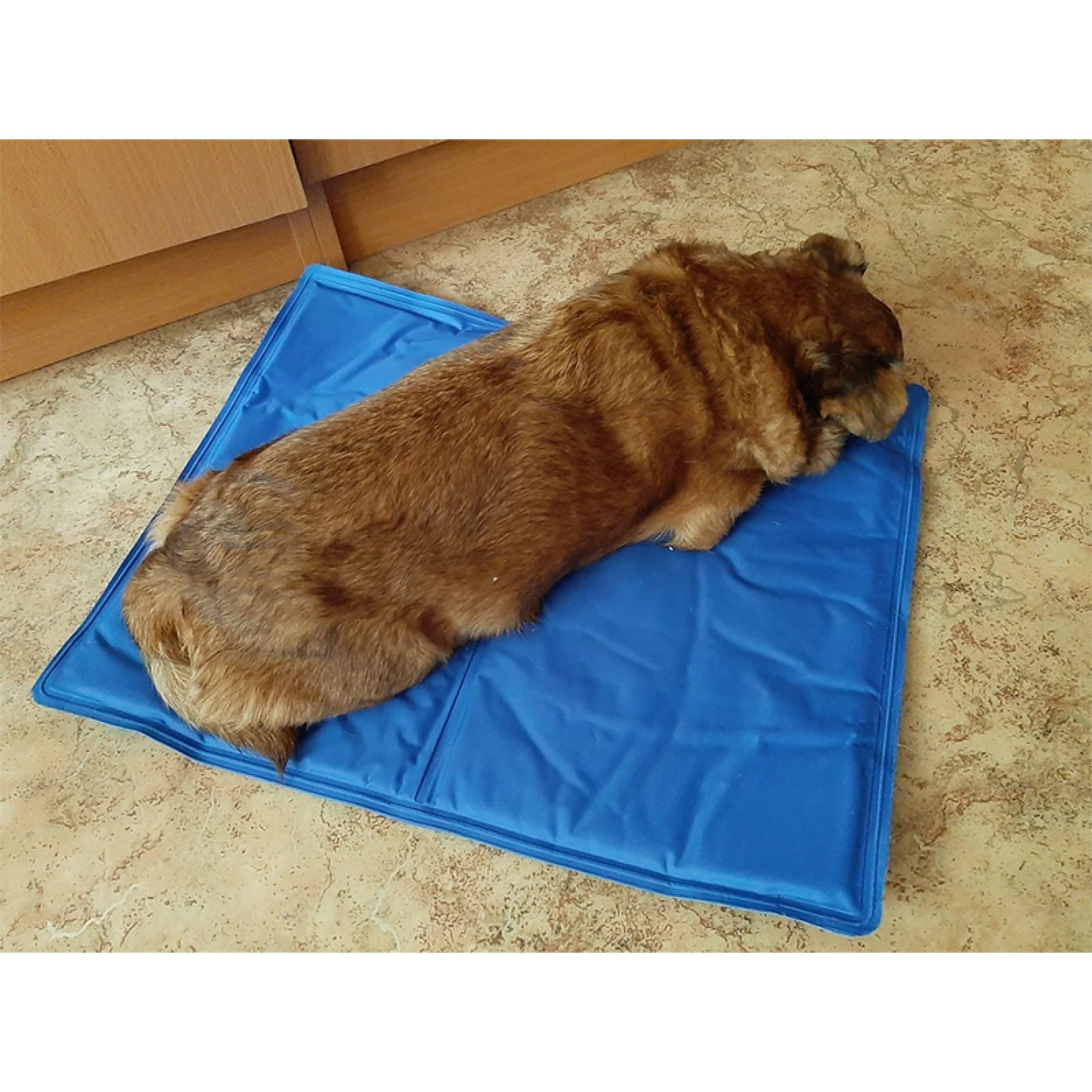 Килимок 65x50 см Охолоджуючий Блакитний для Собак і Кішок Trixie 41