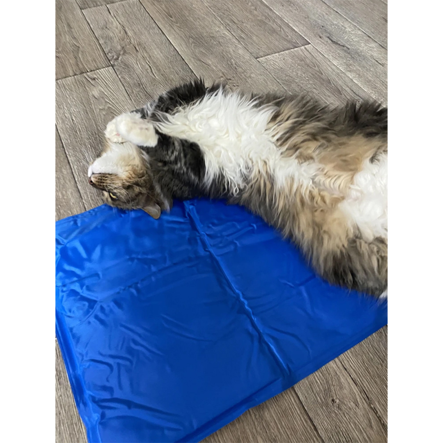 Килимок 65x50 см Охолоджуючий Блакитний для Собак і Кішок Trixie 35