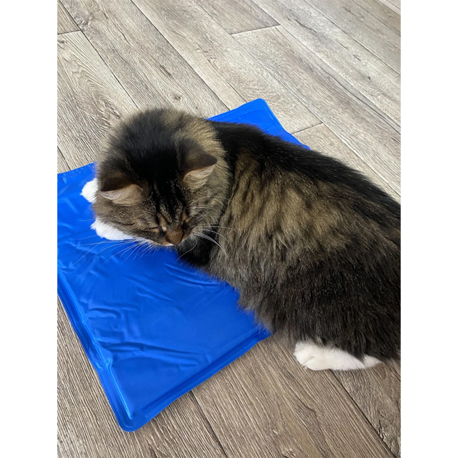 Килимок 65x50 см Охолоджуючий Блакитний для Собак і Кішок Trixie 33