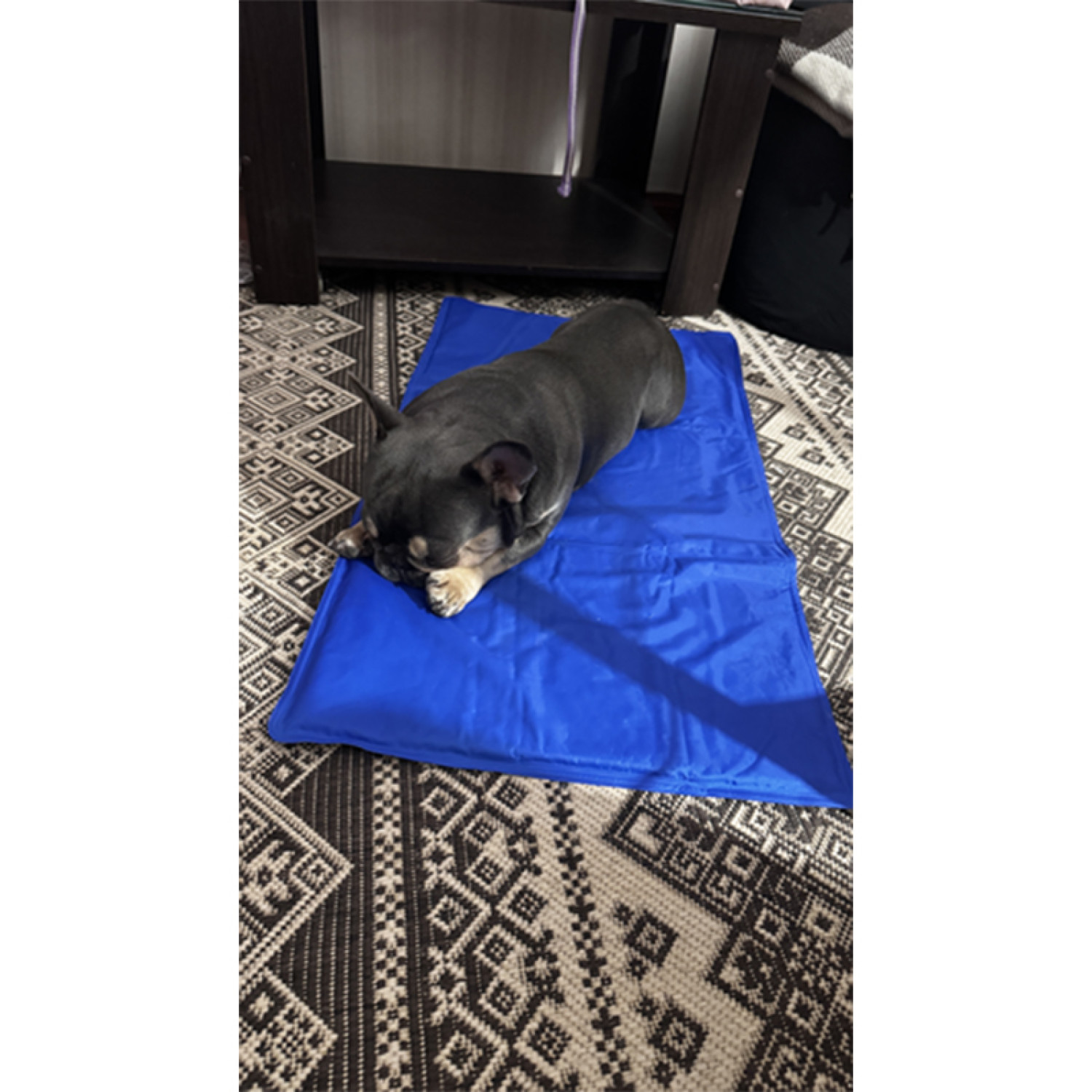 Килимок 65x50 см Охолоджуючий Блакитний для Собак і Кішок Trixie 21