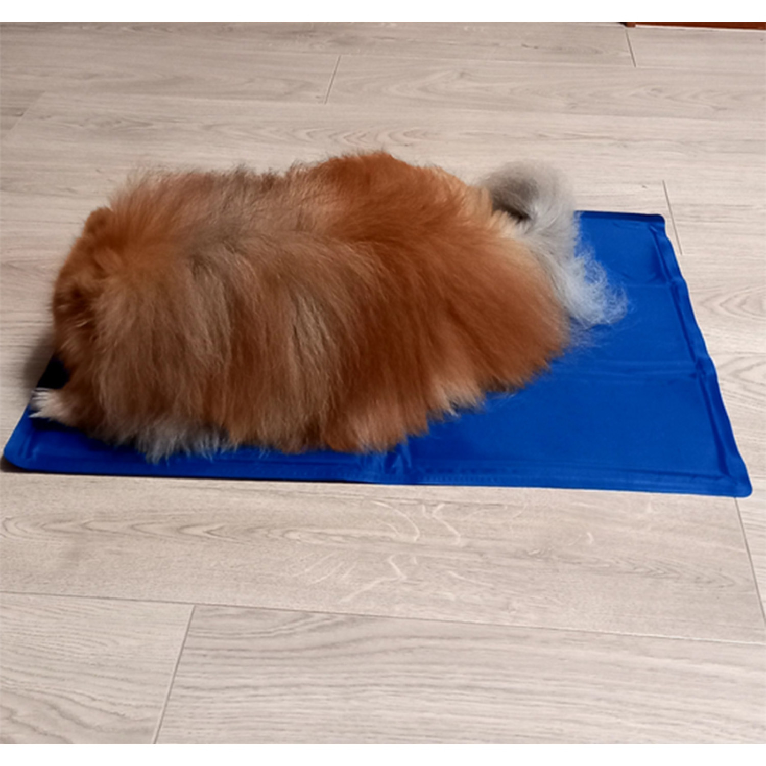 Килимок 65x50 см Охолоджуючий Блакитний для Собак і Кішок Trixie 7