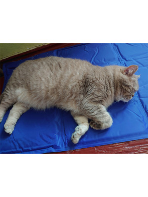 Коврик 90x50 см Охлаждающий Голубой для Собак и Кошек Trixie - 3