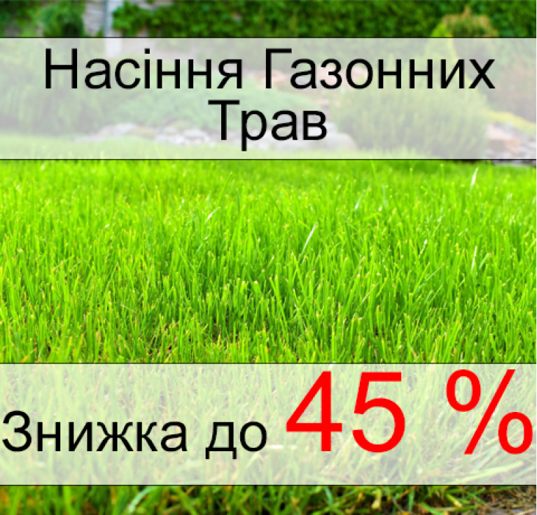 Насіння газонних трав