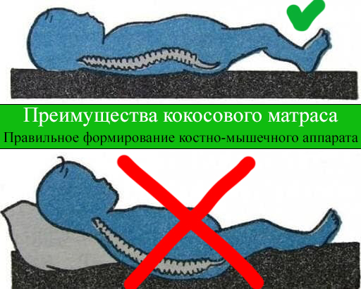 Преимущества кокосового матраса детского 120х60 см EuroCocos