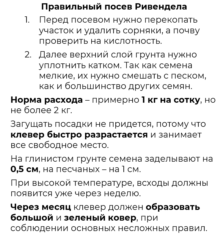 Клевер Белый 100 кг Ривендел в Киеве, Одессе, Днепре, Харькове-2