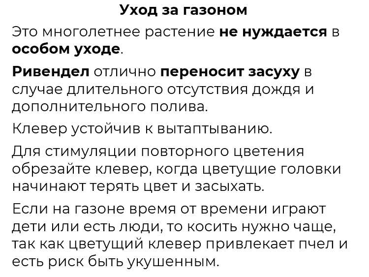 Клевер Белый 5 кг Ривендел в Киеве, Одессе, Днепре, Харькове-3